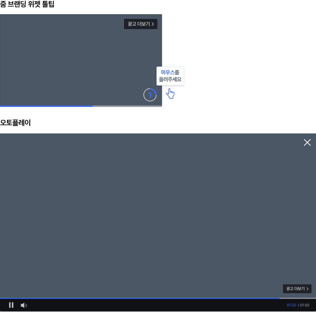 줌 브랜딩 위젯, 미니사이트+동영상 툴팁 위치